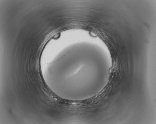 X0000111220099200908131110