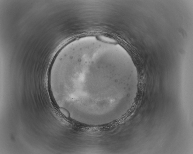 X0000111220100200908131110