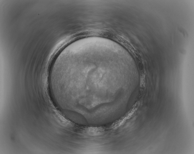 X0000111220101200908131110