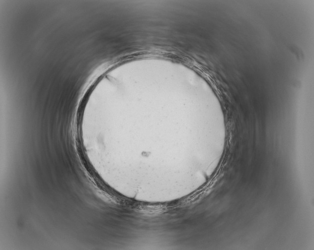 X0000111220102200908131110