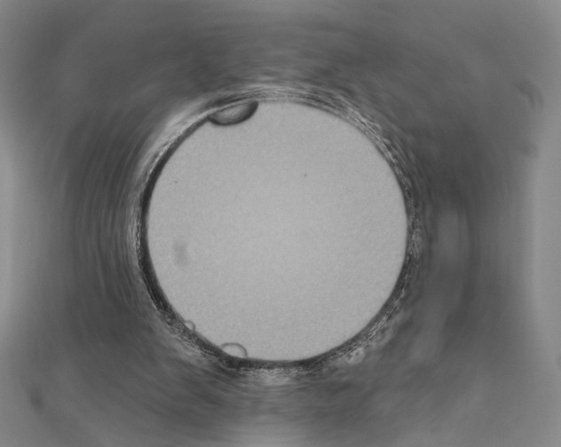 X0000111220103200908131110
