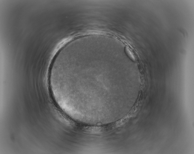 X0000111220104200908131110