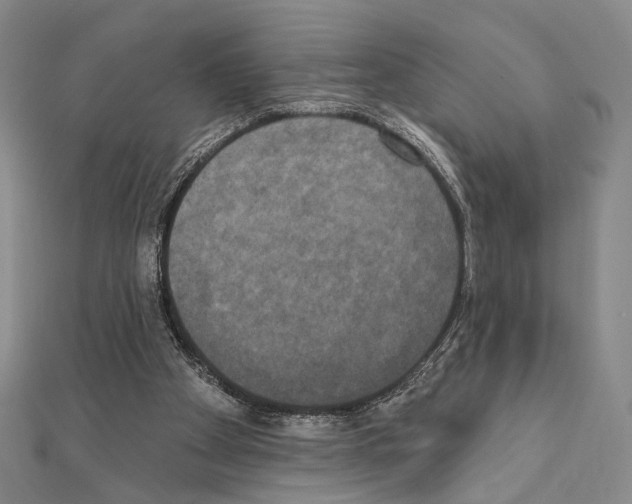 X0000111220105200908131110