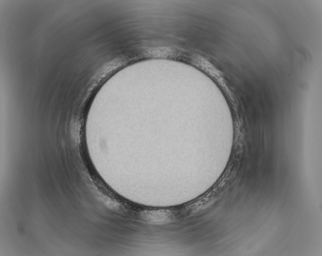 X0000111220106200908131110