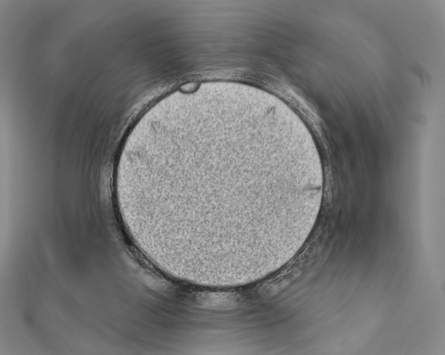 X0000111220107200908131110