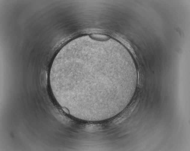 X0000111220109200908131110