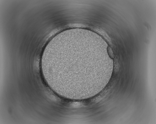X0000111220111200908131110