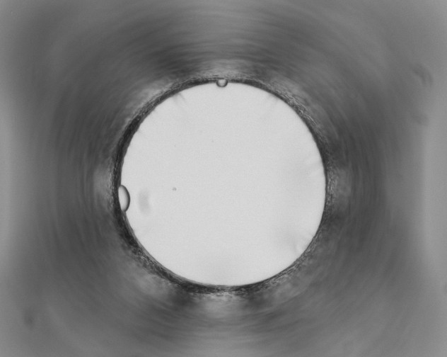 X0000111220112200908131110
