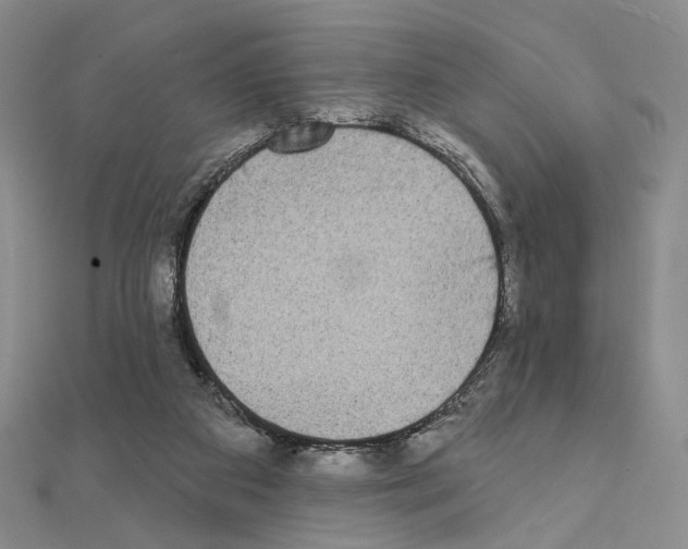 X0000111220113200908131110