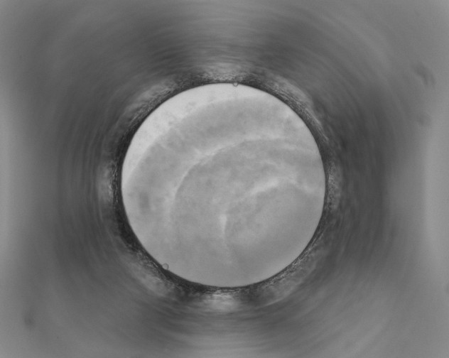 X0000111220114200908131110