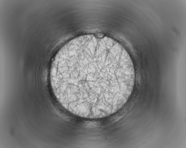 X0000111220115200908131110