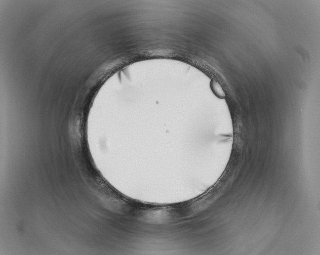 X0000111220116200908131110