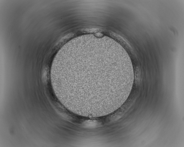 X0000111220119200908131110