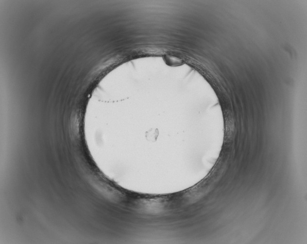 X0000111220120200908131110