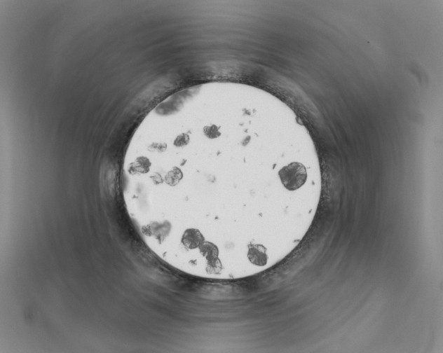 X0000111220123200908131110