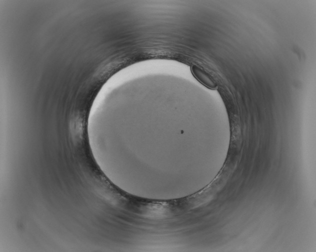 X0000111220124200908131110
