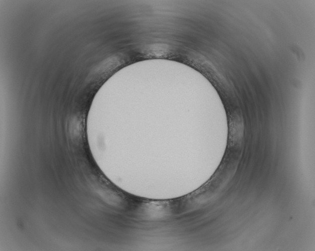 X0000111220126200908131110