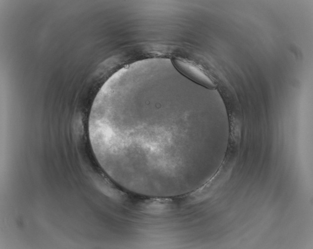 X0000111220128200908131110