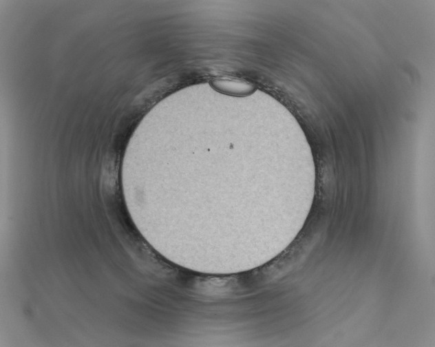 X0000111220129200908131110