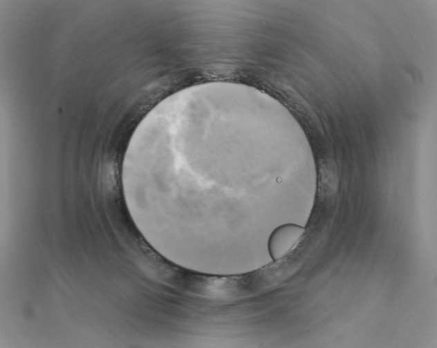 X0000111220130200908131110