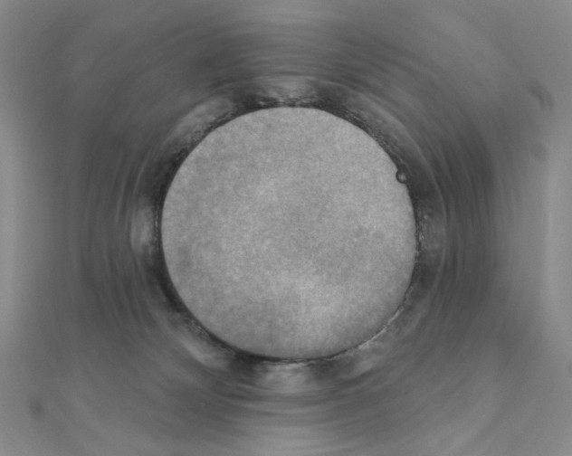 X0000111220132200908131110