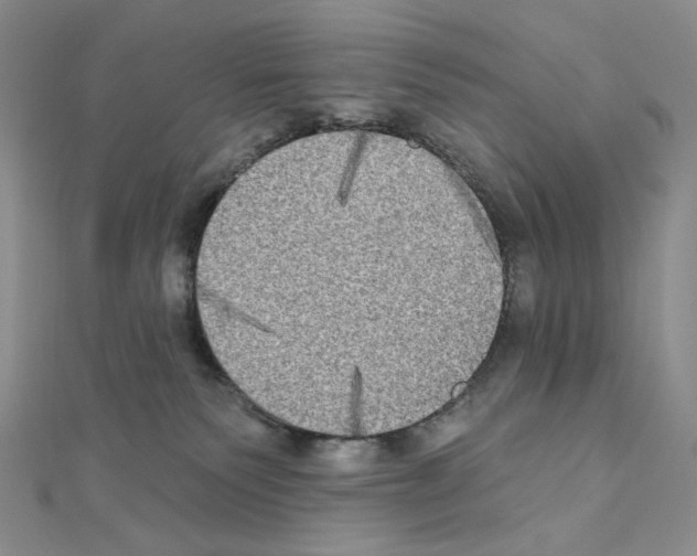 X0000111220135200908131110