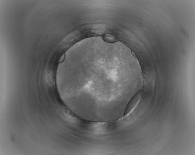 X0000111220136200908131110