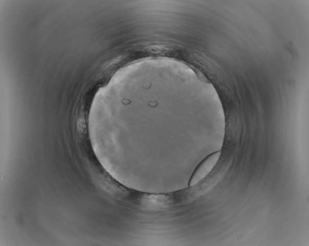 X0000111220137200908131110