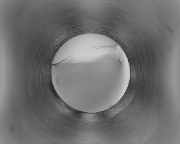 X0000111220139200908131110
