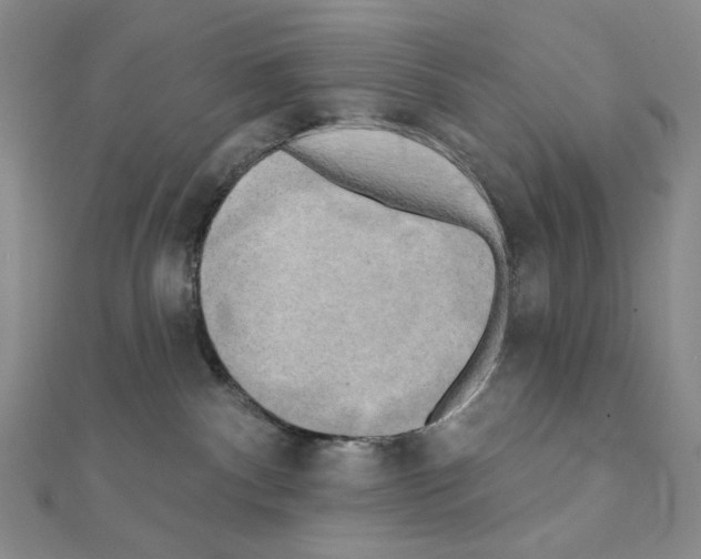 X0000111220140200908131110