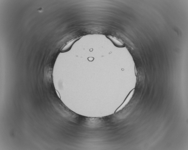 X0000111220141200908131110