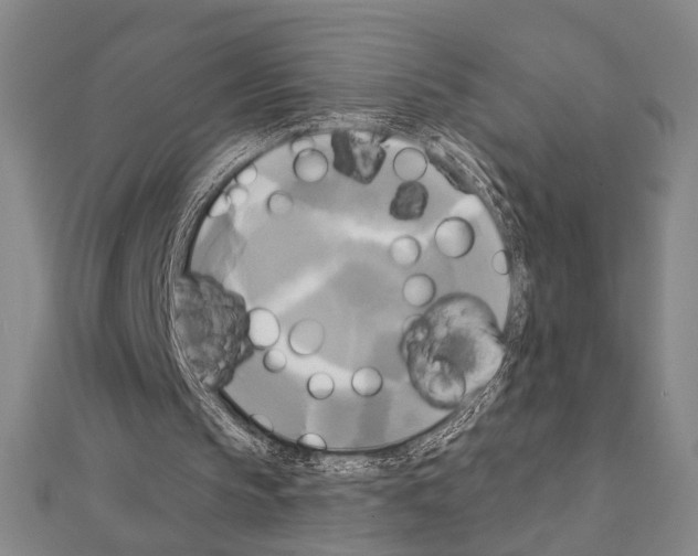 X0000111220145200908131109