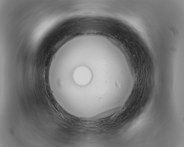 X0000111220146200908131109