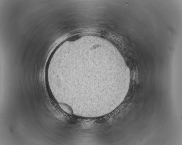X0000111220148200908131109
