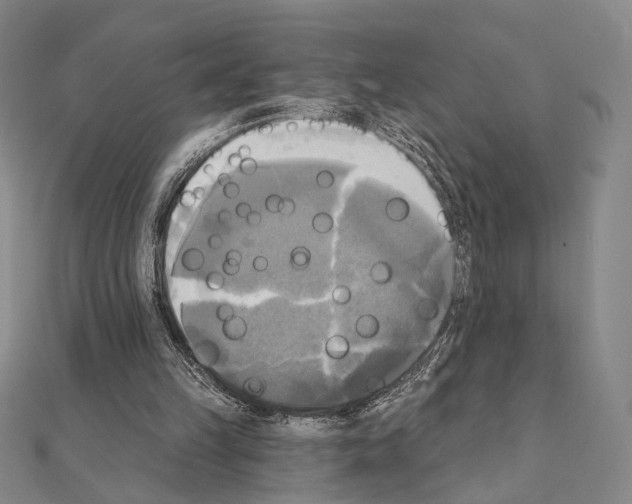 X0000111220149200908131109