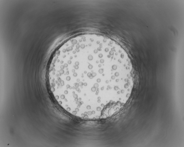 X0000111220151200908131109