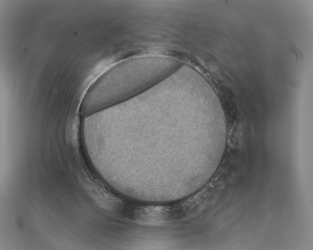 X0000111220152200908131109