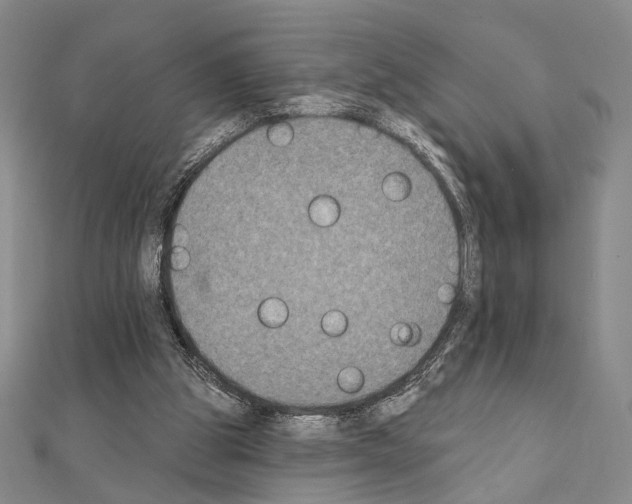 X0000111220153200908131109