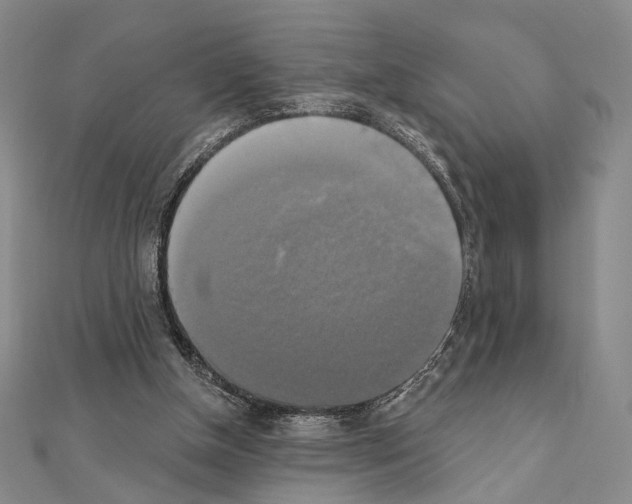 X0000111220154200908131109