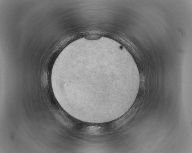 X0000111220158200908131109