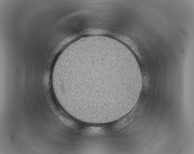 X0000111220159200908131109