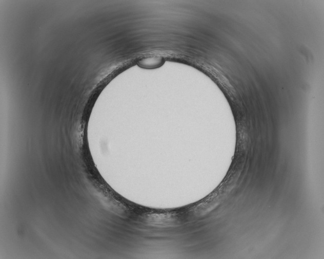 X0000111220160200908131109