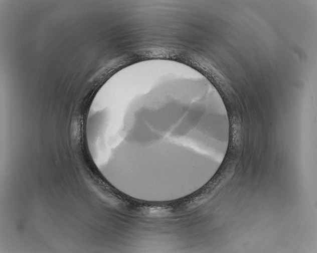 X0000111220165200908131109