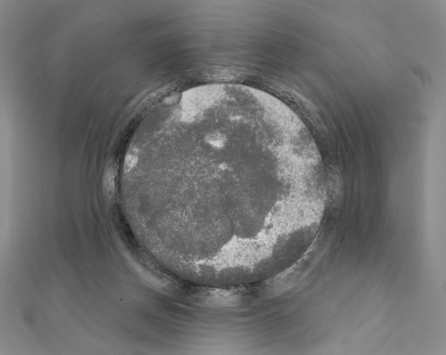 X0000111220166200908131109