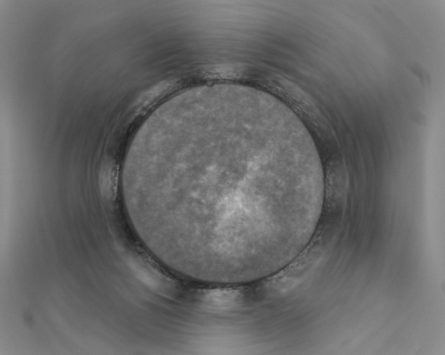 X0000111220168200908131109