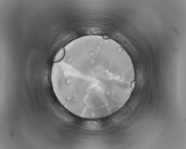 X0000111220169200908131109