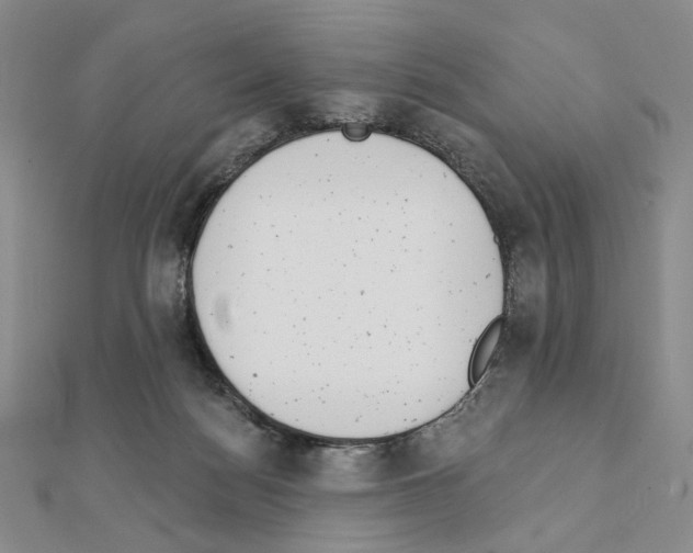 X0000111220172200908131109