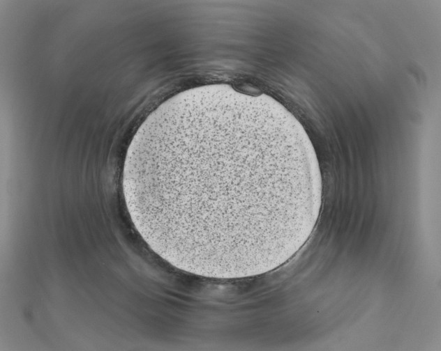 X0000111220174200908131109