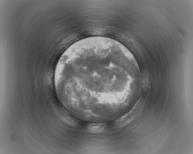 X0000111220175200908131109