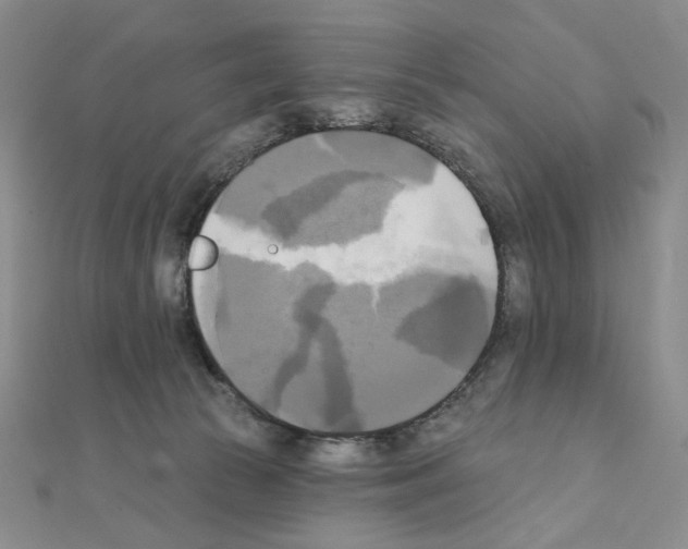 X0000111220177200908131109